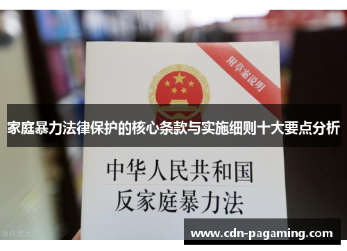 家庭暴力法律保护的核心条款与实施细则十大要点分析