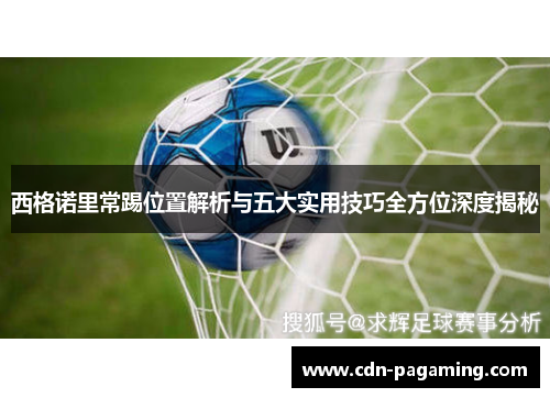 西格诺里常踢位置解析与五大实用技巧全方位深度揭秘
