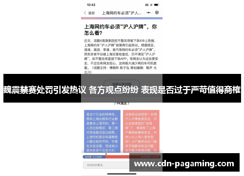 魏震禁赛处罚引发热议 各方观点纷纷 表现是否过于严苛值得商榷