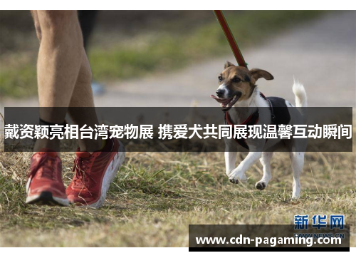 戴资颖亮相台湾宠物展 携爱犬共同展现温馨互动瞬间